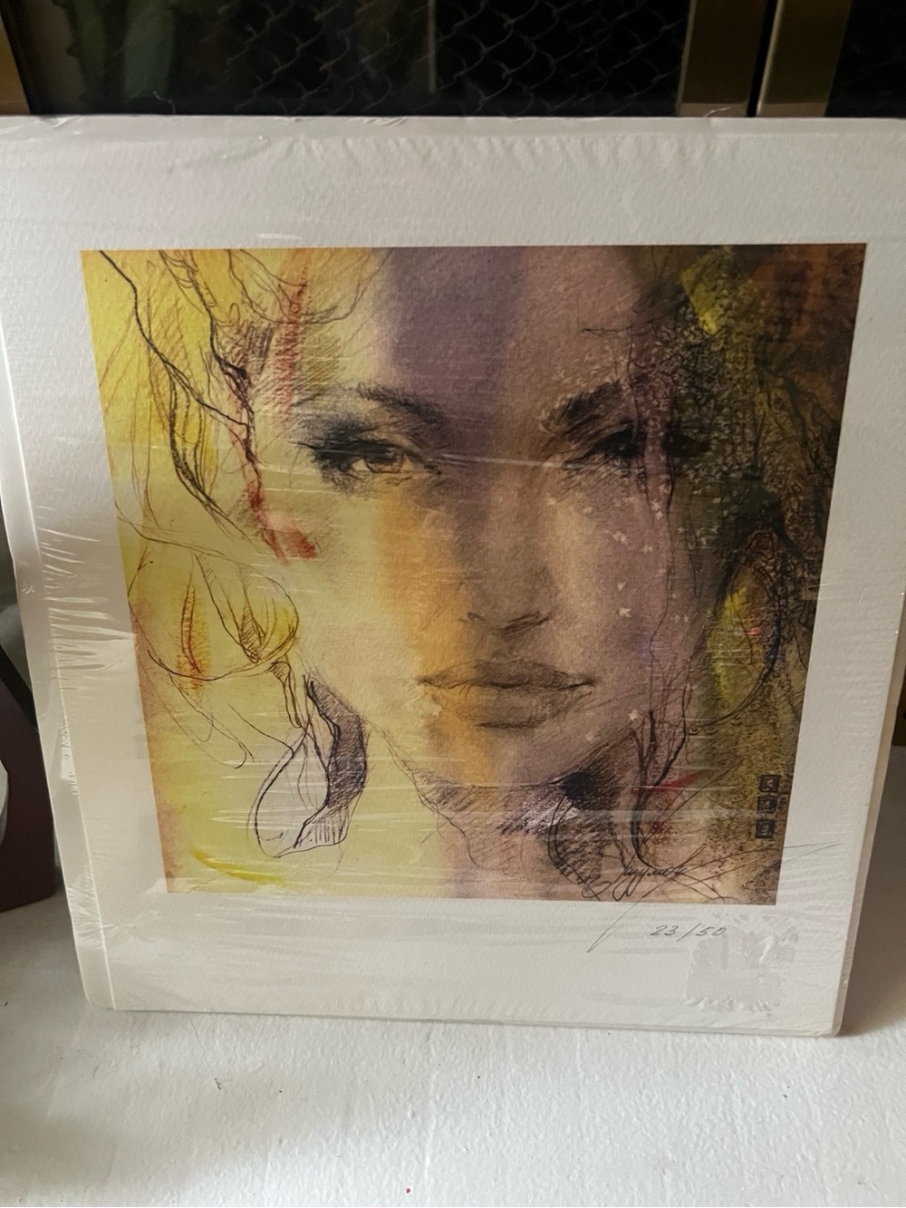 Anna Razumovskaya Signed Limited Edition Art 23/50 with COA